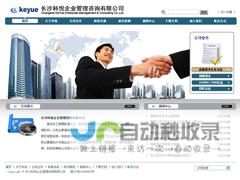 长沙企业网站建设：打造品牌形象，提升网络营销力